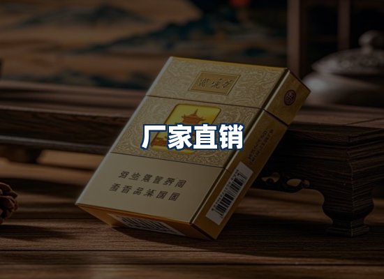 专业团队办公环境